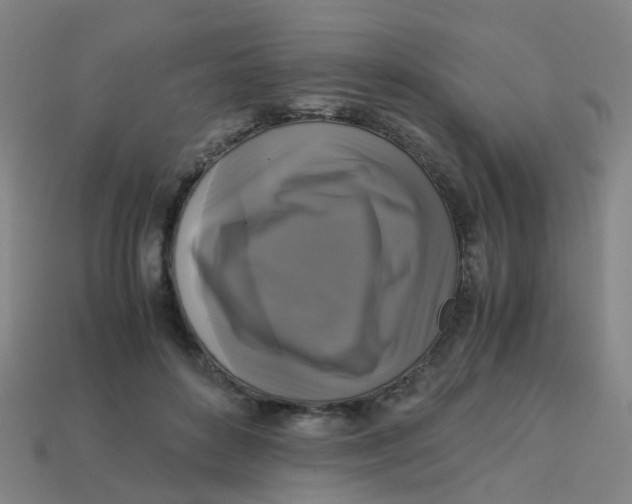 X0000113250504200910081321