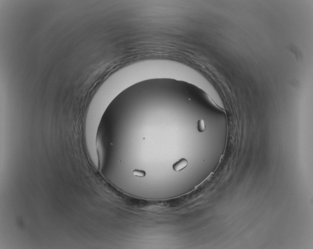 X0000113250505200910081321