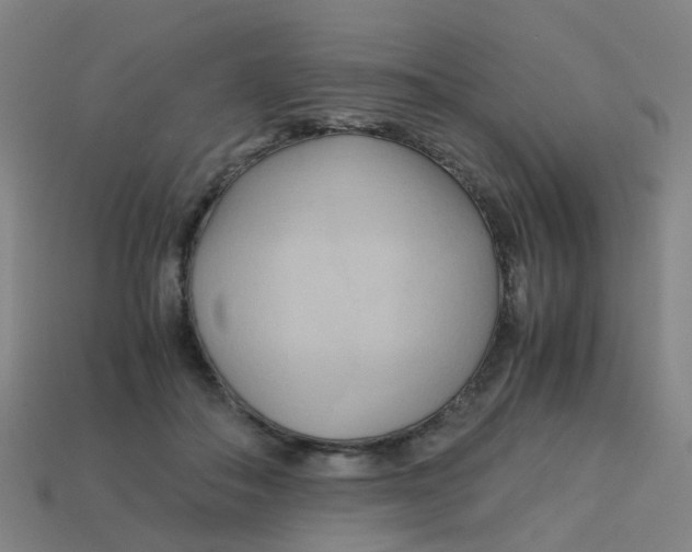 X0000113250506200910081321