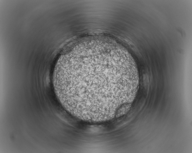 X0000113250508200910081321