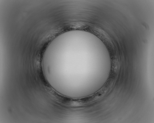 X0000113250510200910081321