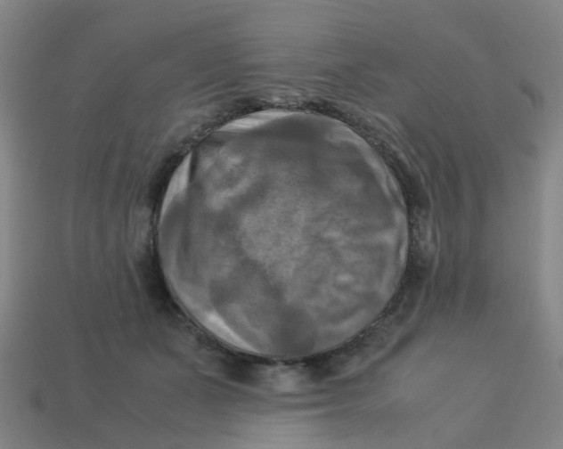 X0000113250511200910081321