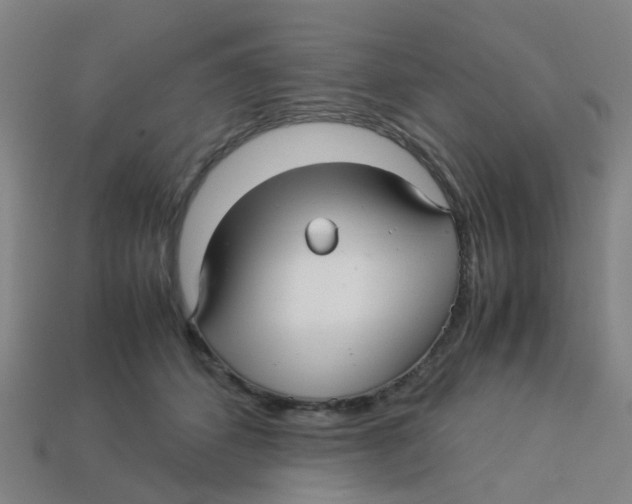 X0000113250512200910081321