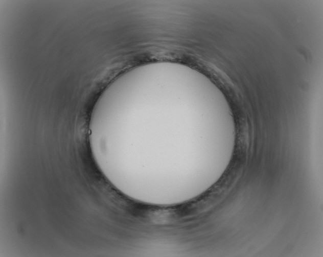 X0000113250513200910081321