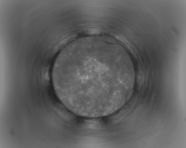 X0000113250516200910081321