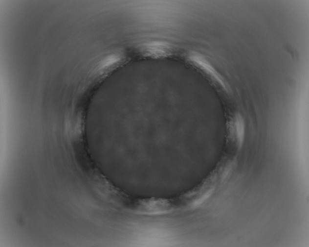 X0000113250517200910081321