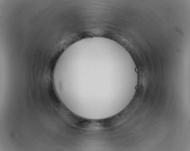 X0000113250518200910081321