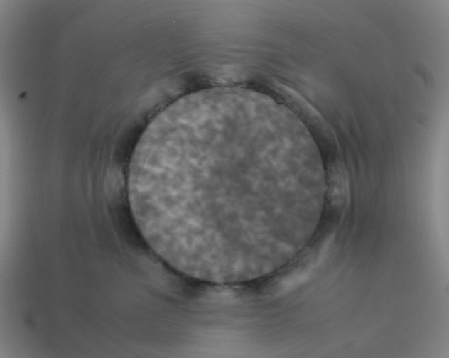 X0000113250523200910081321