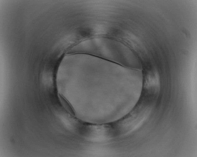 X0000113250524200910081321