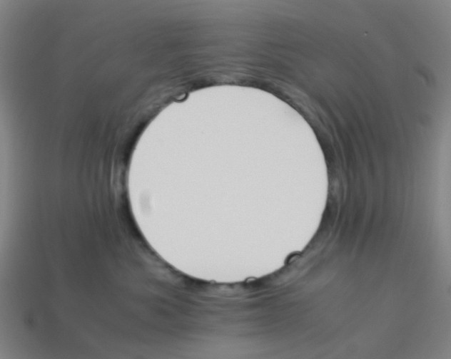 X0000113250525200910081321