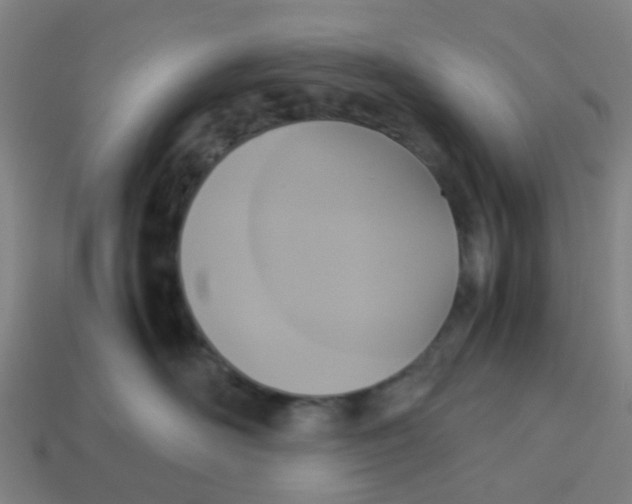 X0000113250526200910081321