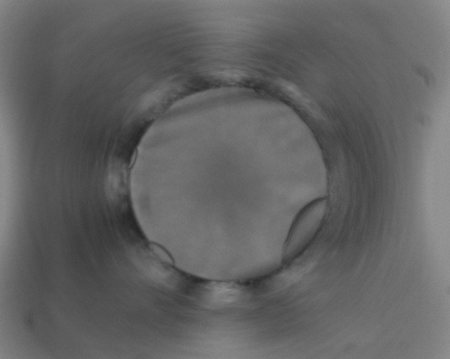 X0000113250528200910081321