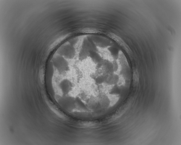 X0000113250533200910081320