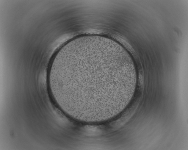 X0000113250534200910081320