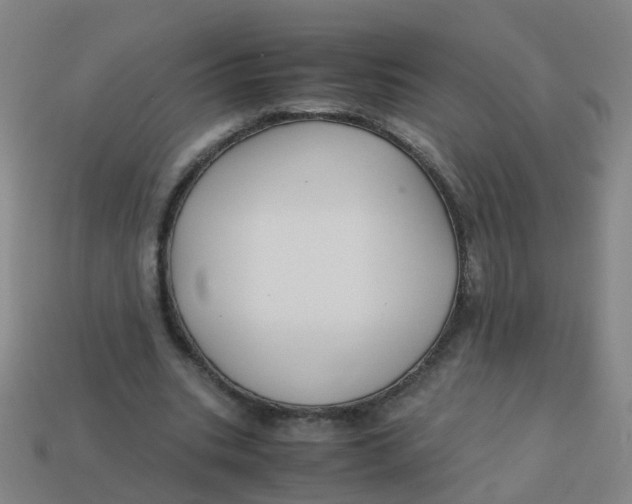 X0000113250535200910081320