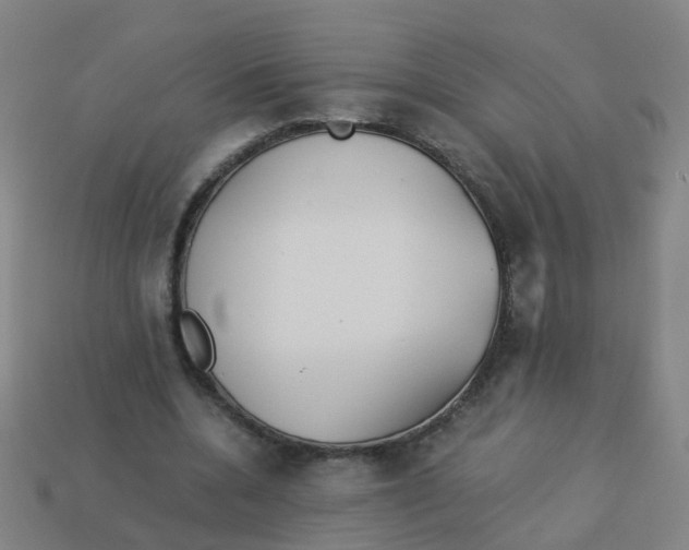 X0000113250536200910081320