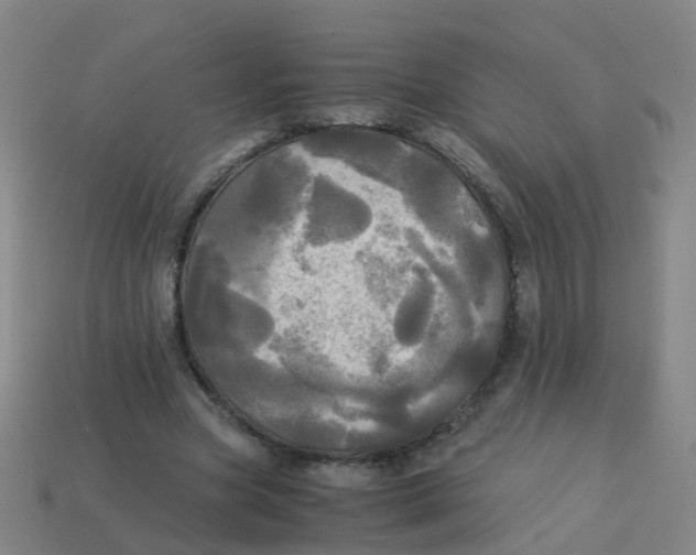 X0000113250537200910081320