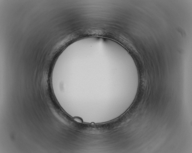 X0000113250538200910081320