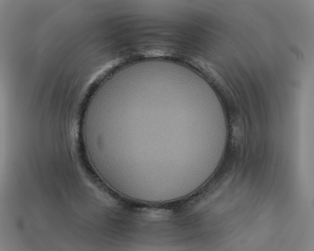 X0000113250539200910081320