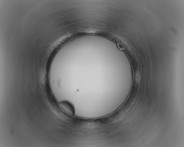 X0000113250540200910081321