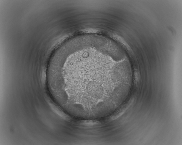 X0000113250541200910081321