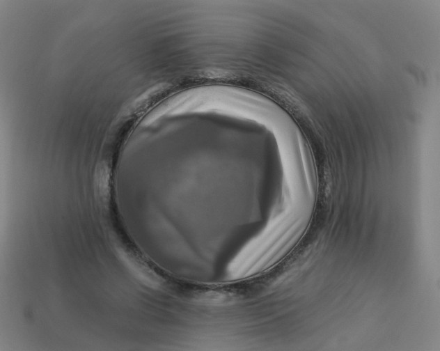 X0000113250542200910081321