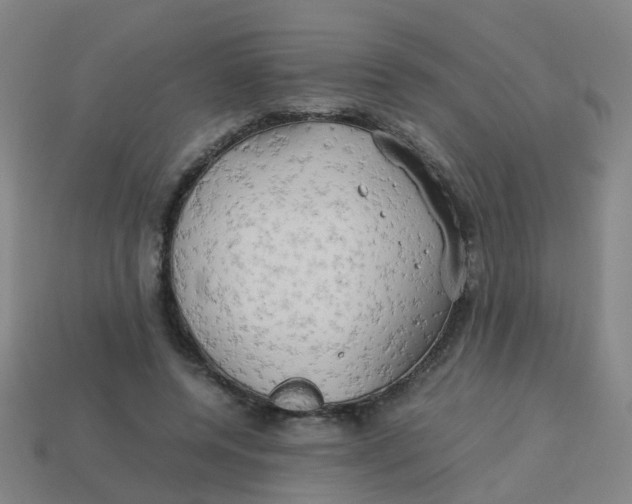 X0000113250544200910081321