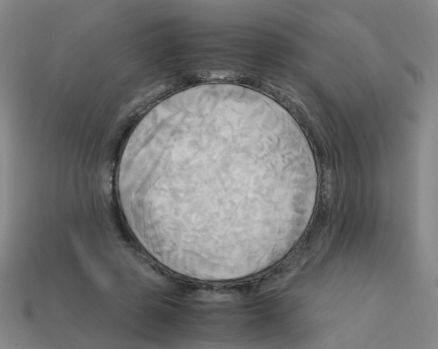 X0000113250545200910081321