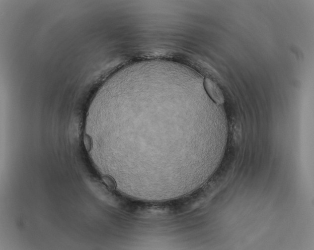 X0000113250546200910081321