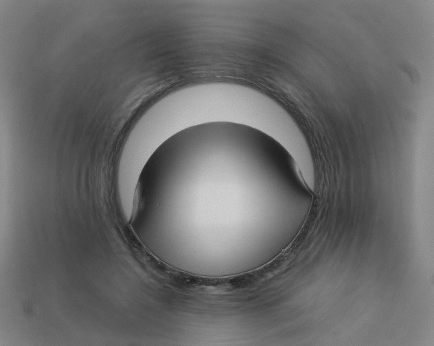 X0000113250548200910081321