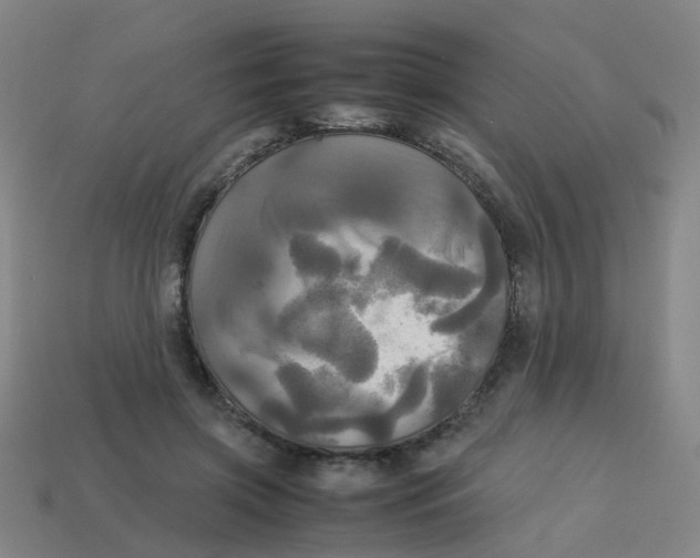 X0000113250549200910081321