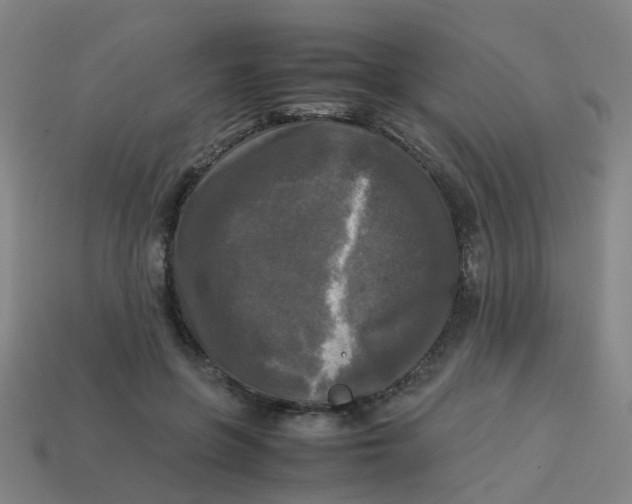 X0000113250551200910081321