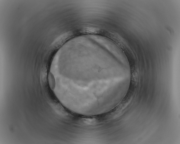 X0000113250552200910081321