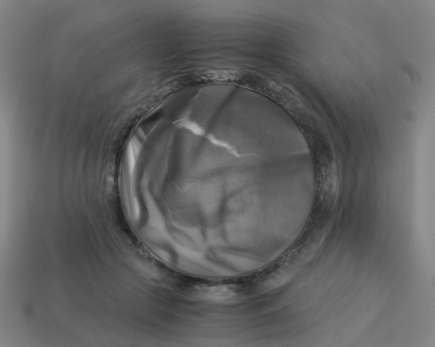 X0000113250553200910081321