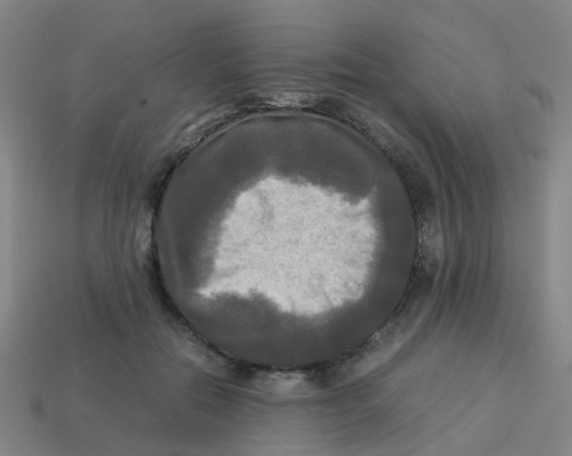 X0000113250554200910081321