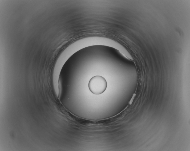 X0000113250556200910081321