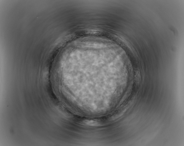 X0000113250557200910081321