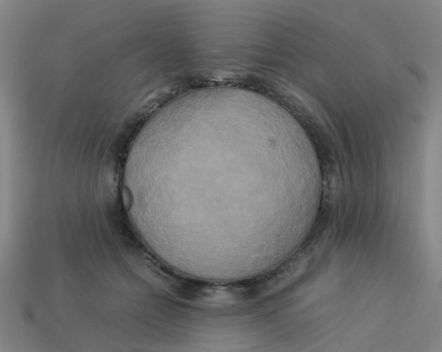 X0000113250558200910081321