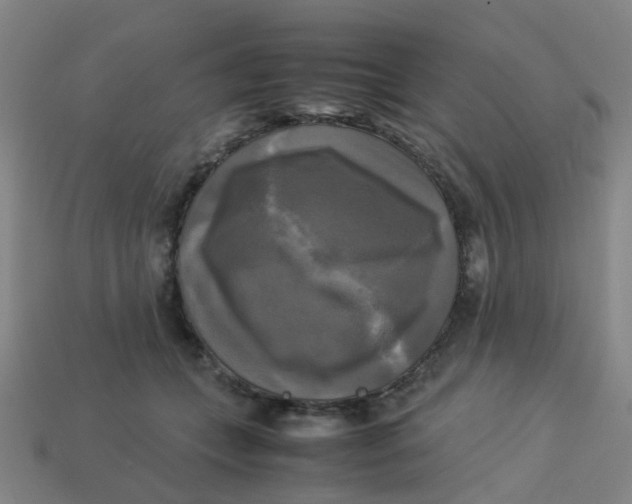 X0000113250559200910081321