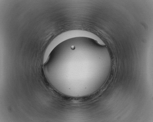 X0000113250560200910081321