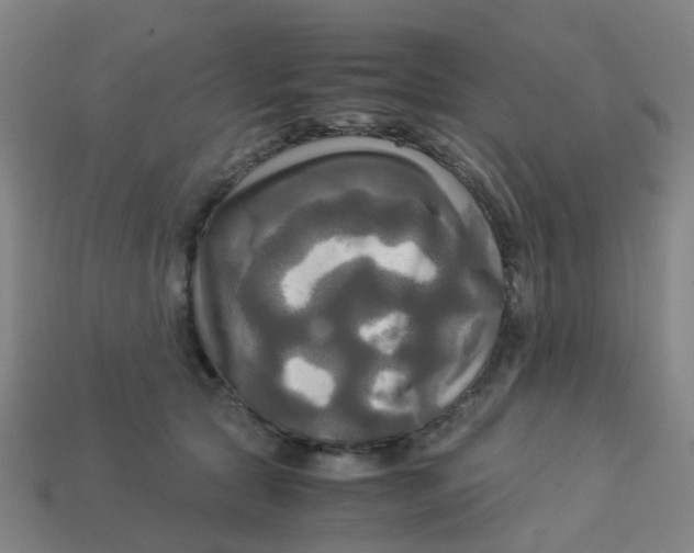 X0000113250561200910081321