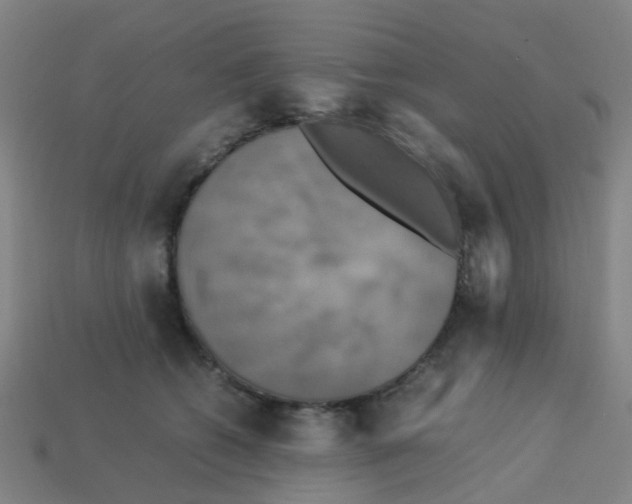 X0000113250562200910081321