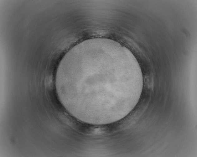 X0000113250564200910081321