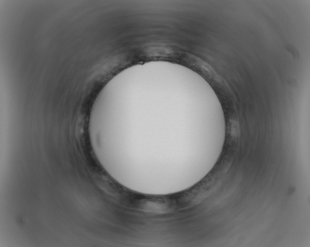 X0000113250567200910081321