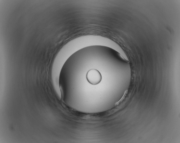 X0000113250568200910081321