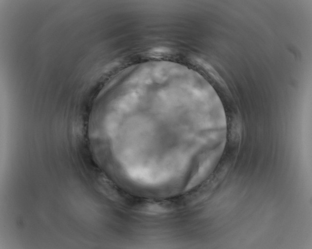 X0000113250569200910081321