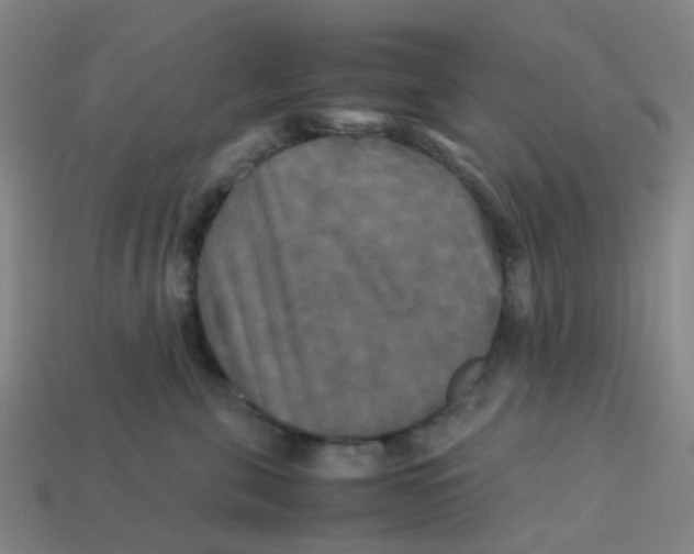 X0000113250571200910081321