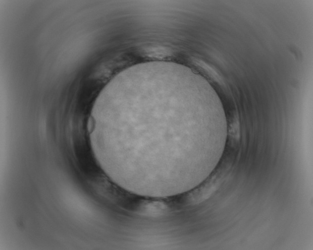 X0000113250572200910081321