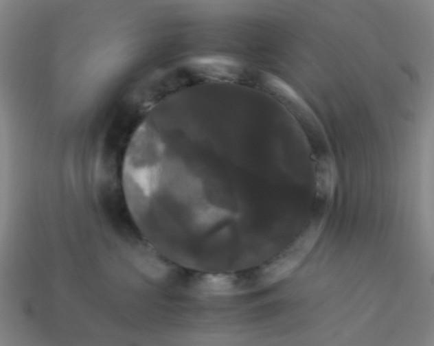 X0000113250573200910081321