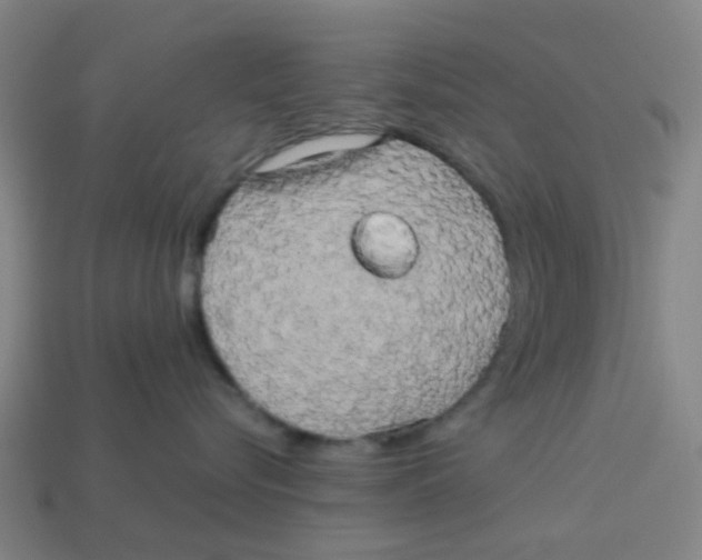 X0000113250576200910081321